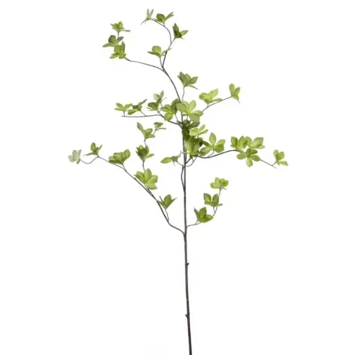 [179537-BB] Cornus Leaf Spray Green 45in