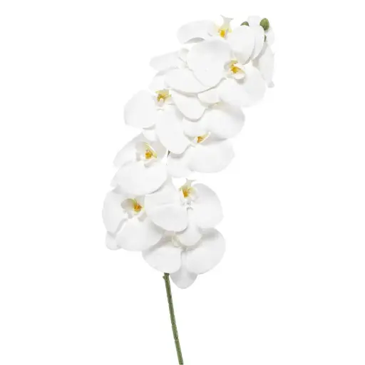 [179539-BB] Phalaenopsis Spray White 39in