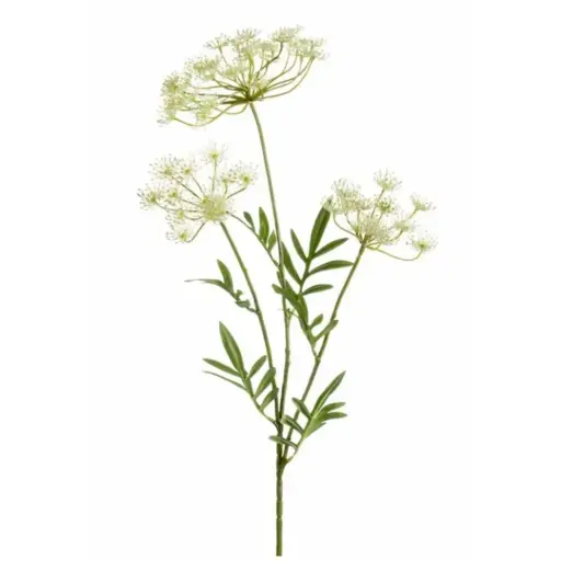 [179544-BB] Dill Spray White 31.5in