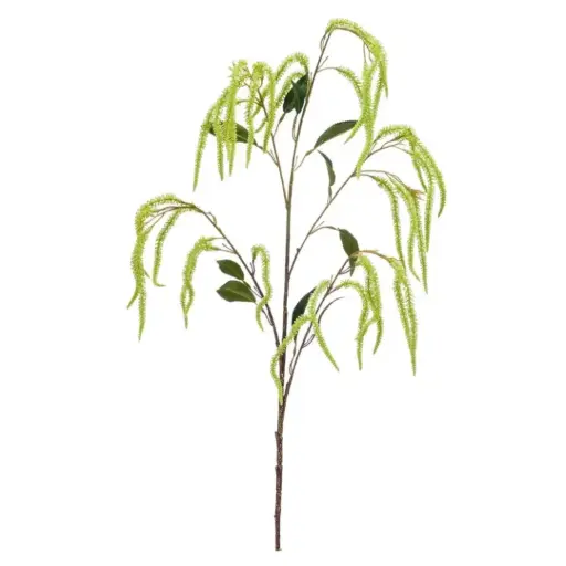 [179545-BB] Amaranthus Spray Green 39in