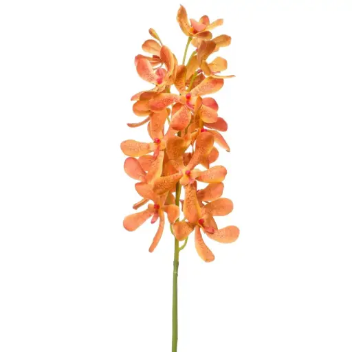 [179546-BB] Vanda Spray Orange 31.5in