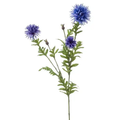 [179547-BB] Centaurea Spray Blue 39in