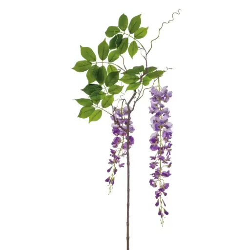 [179551-BB] Wisteria Branch Purple 57in