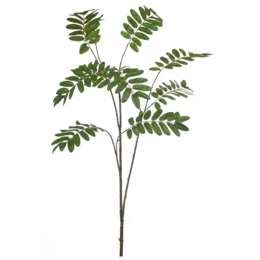 [179553-BB] Mahonia Branch Green 59in