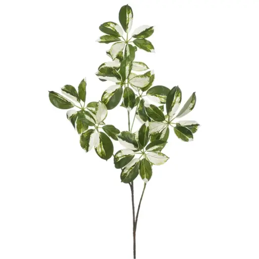 [179554-BB] Schefflera Branch Green & White 43in