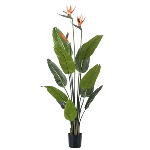 [179562-BB] Strelitzia Tree Flowers 47in