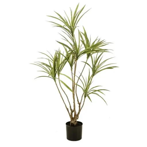 [179567-BB] Dracaena Tree 47in