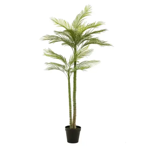 [179575-BB] Phoenix Palm Deluxe 7ft