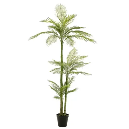 [179576-BB] Phoenix Palm Deluxe 8ft