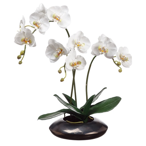 [160123-BB] Phalaenopsis Plant in Metallic Pot 22in