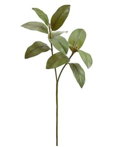 [160253-BB] Magnolia Leaf Spray 34in