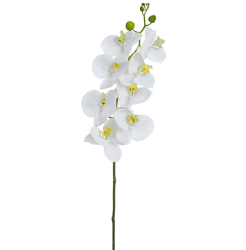 [149112-BB] Phalaenopsis Spray White 41in