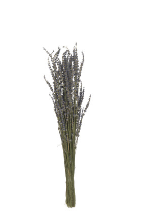 [165283-BB] Dried Lavender Bunch 29in