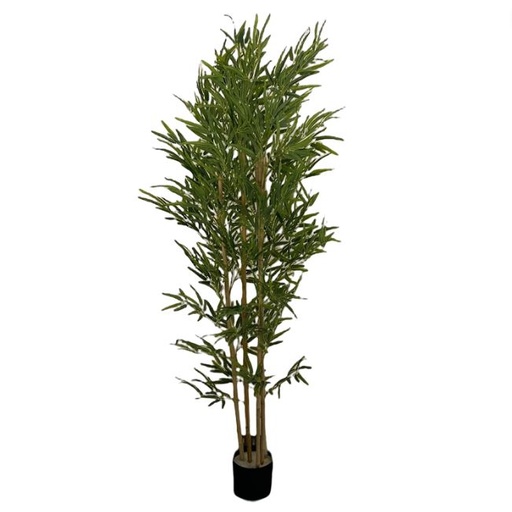 [167061-BB] Bamboo Tree in Plastic Pot 6ft