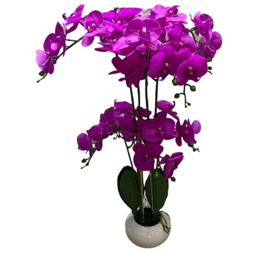 [167074-BB] Pink Phalaenopsis Orchid in Ceramic Pot

 