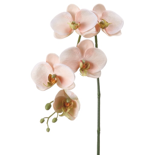 [168212-BB] Phalaenopsis Spray  Pink 26in